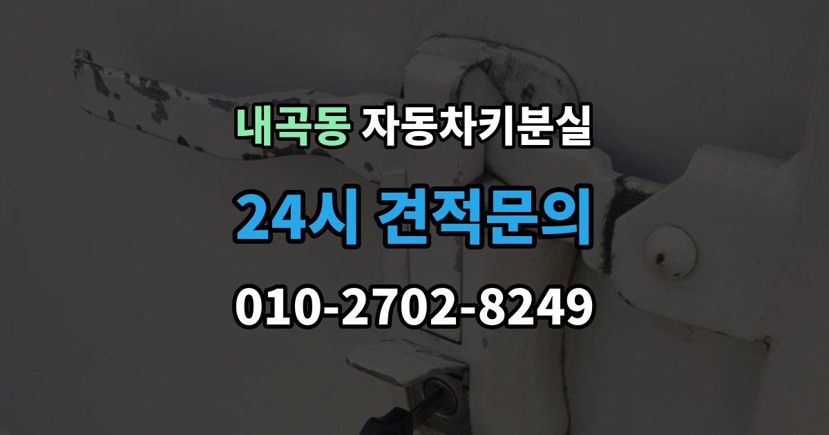 고양시 덕양구 내곡동 자동차키 분실 현장 업체가 처리 가능한 범위와 제한