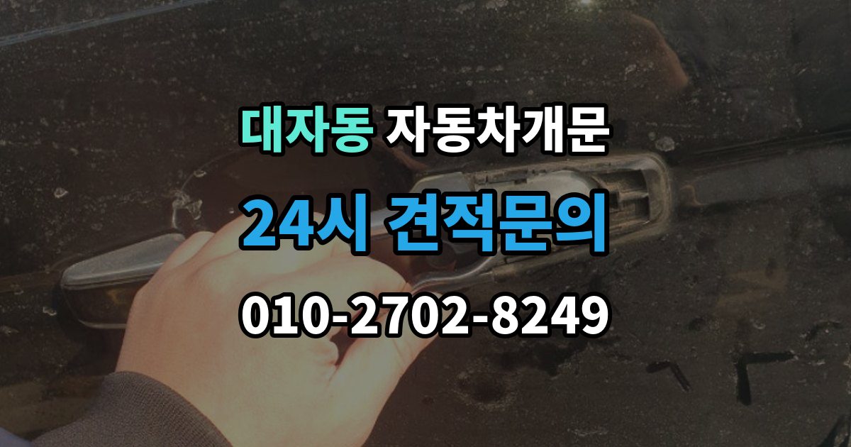 대자동 자동차 문 잠김 잠금 상태를 스스로 점검하는 방법