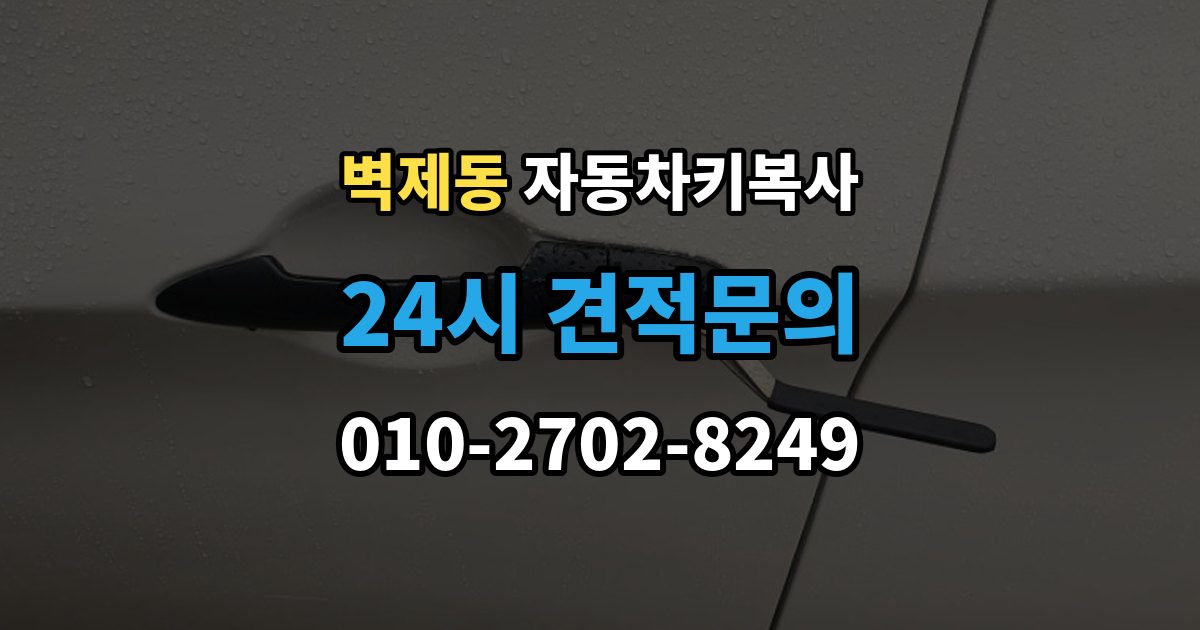 벽제동 자동차키 복사 출장 안내 - 차량 도어만 여는 기능이 가능한지 살펴보기