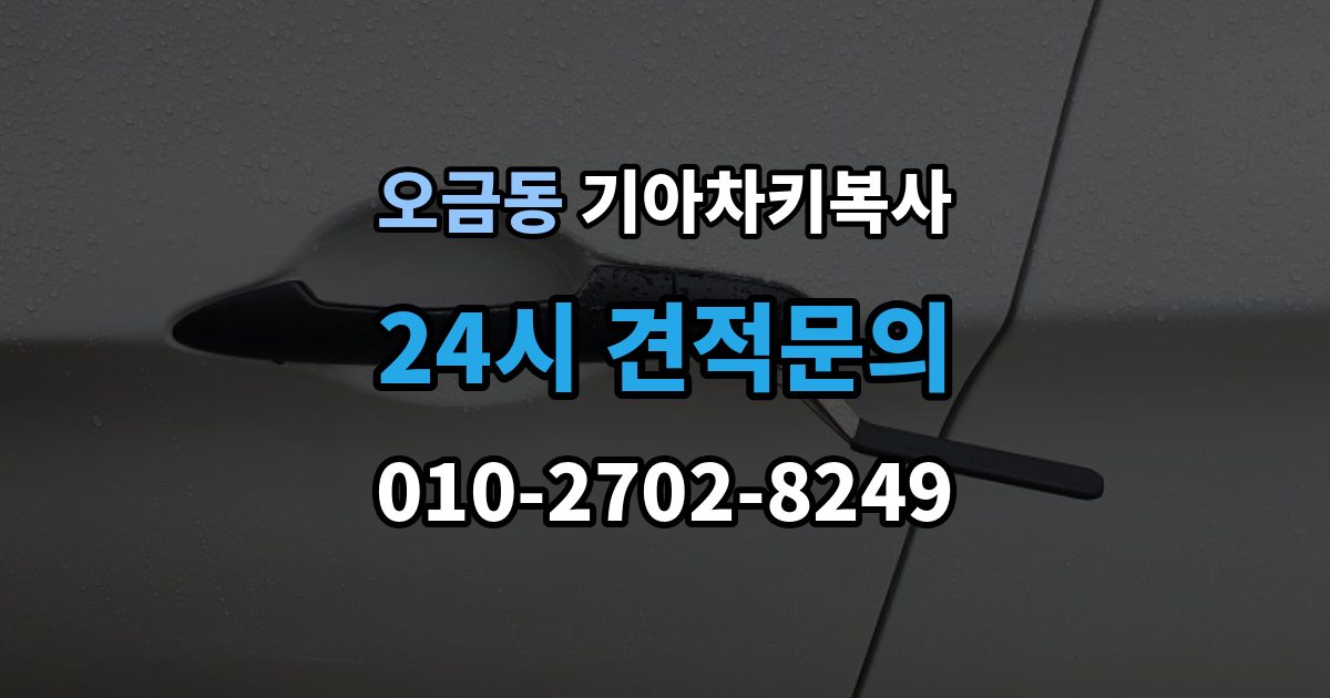 고양시 덕양구 오금동 기아 차키 복사 복제보다 재등록이 필요한 상황 정리