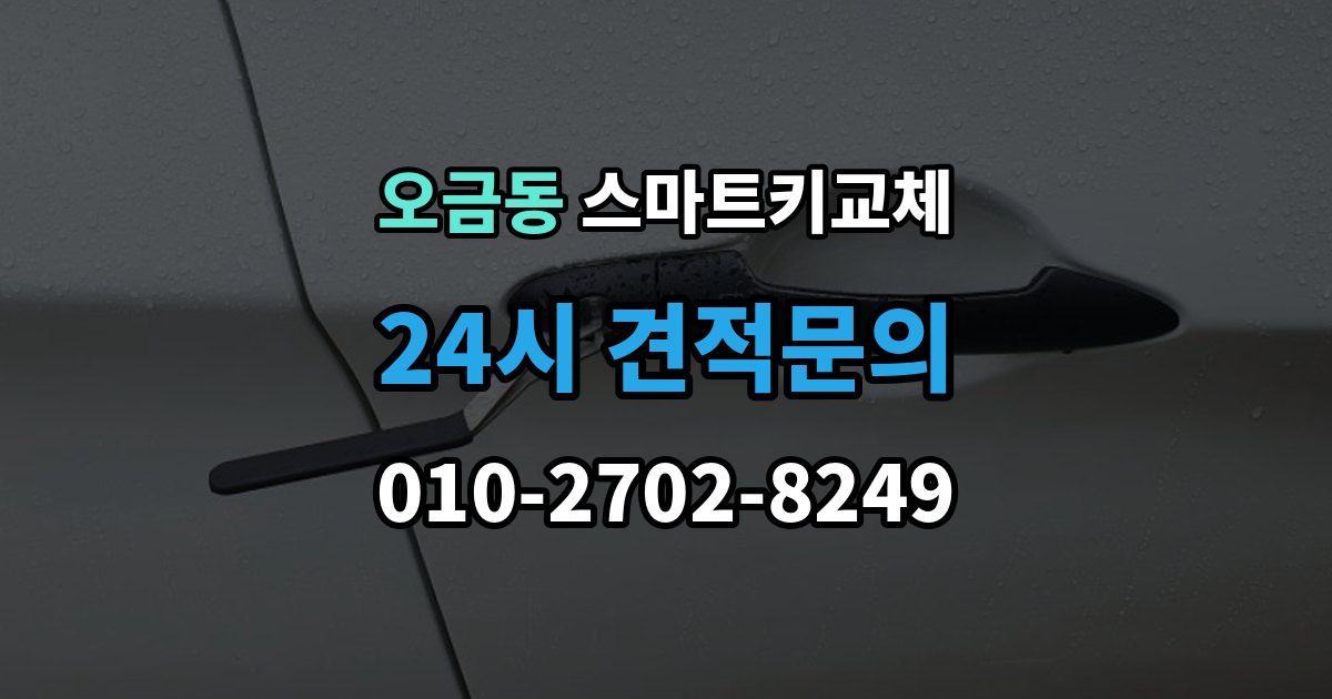고양시 덕양구 오금동 스마트키 교체 마지막으로 넣어둔 장소를 찾는 실전 팁