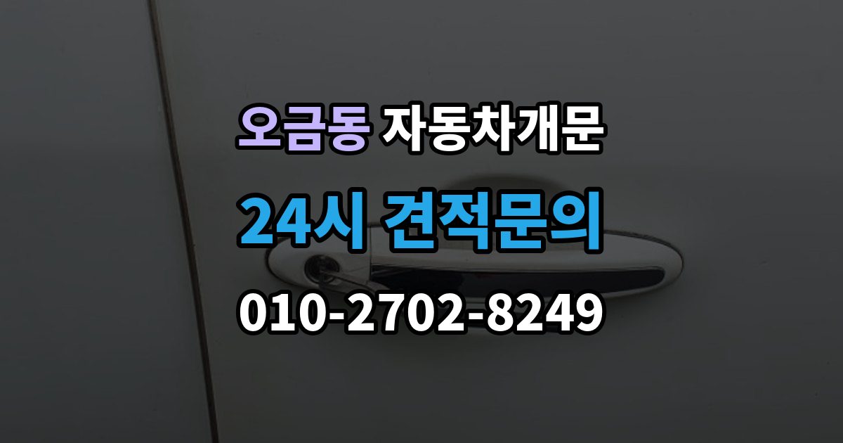 고양시 덕양구 오금동 자동차 문 잠김 잠금 상태를 스스로 점검하는 방법