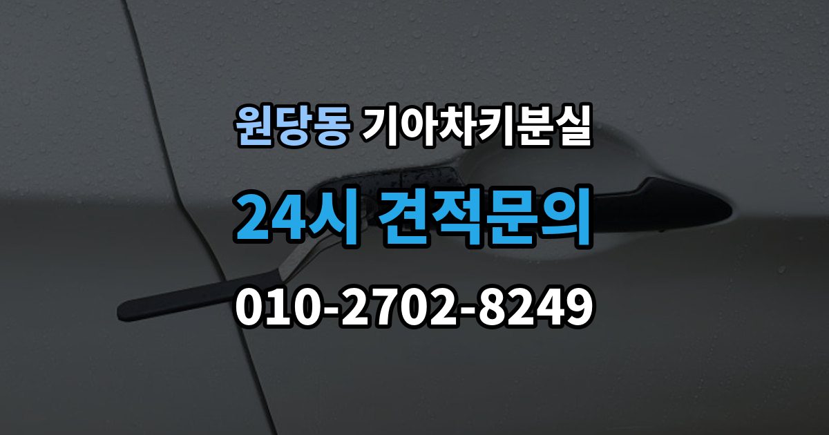 고양시 덕양구 원당동 기아 차키 분실 출장 안내 - 원격 잠금 해제가 안 될 때 점검 항목