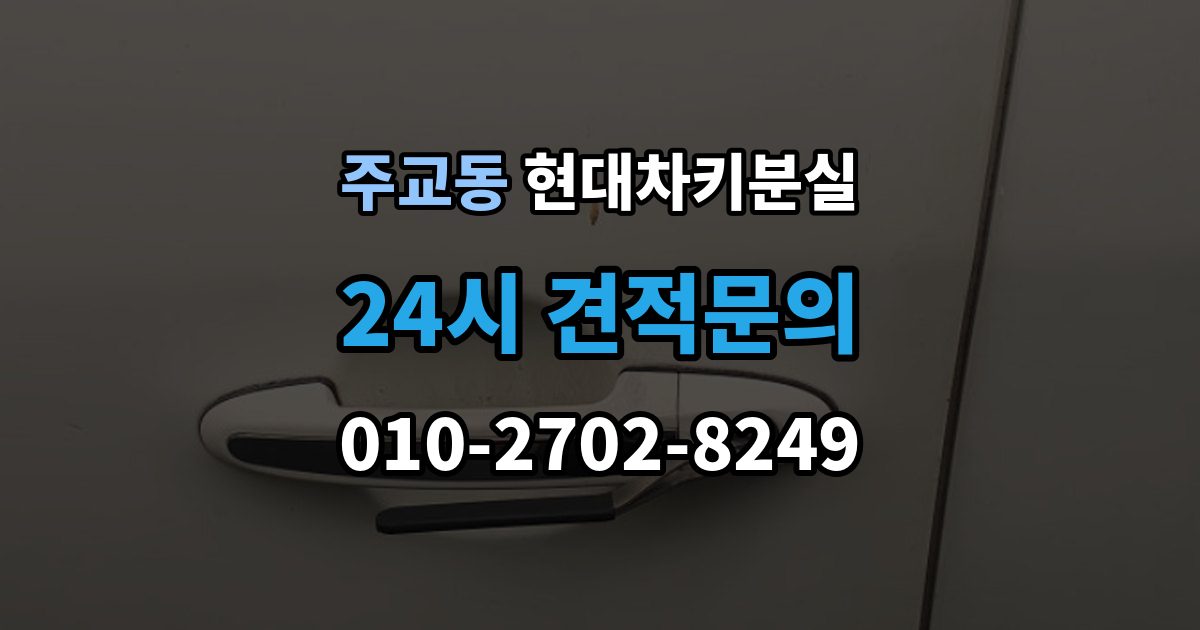 고양시 덕양구 주교동 현대 차키 분실 차량별 키 개수와 보관 팁 정리