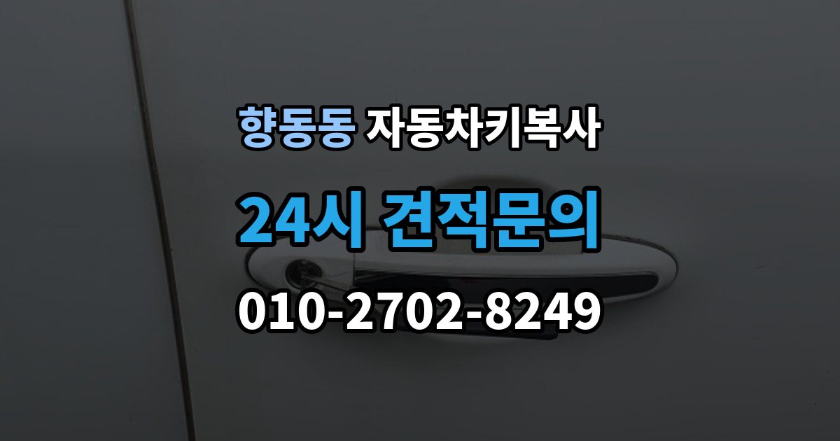 향동동 자동차키 복사 출장 안내 - 키 복제 후 시동 반응까지 확인하는 과정
