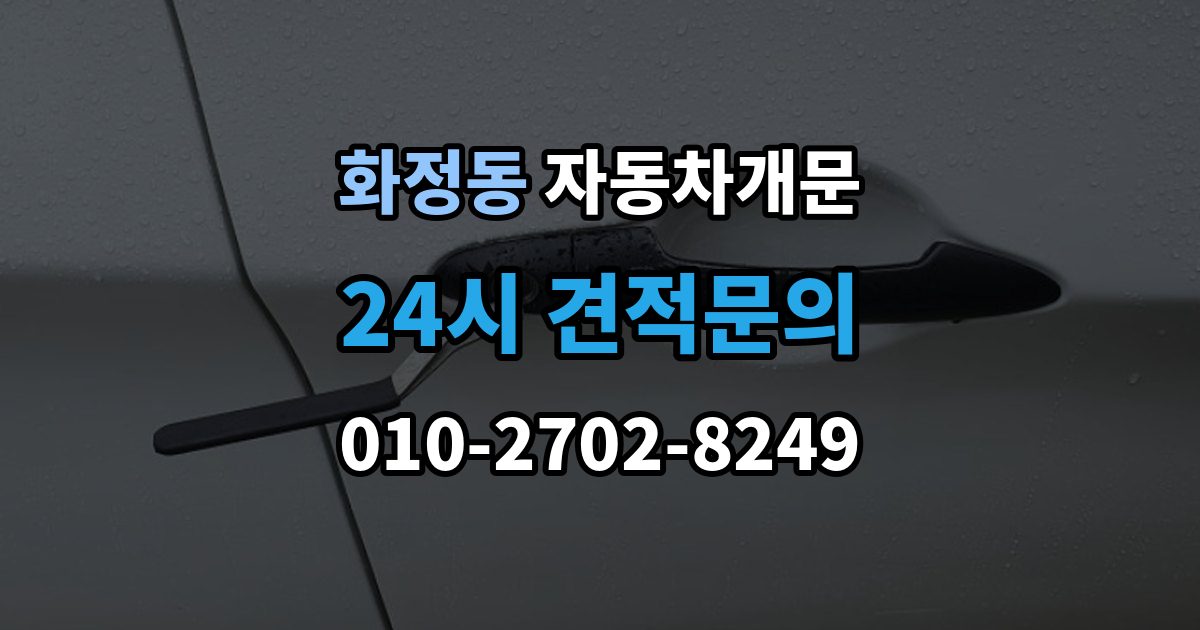 고양시 덕양구 화정동 차 문 잠겼을 때 문은 열려도 시동이 안 걸릴 때 구분법