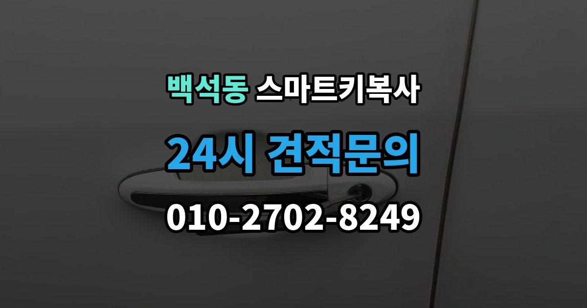 고양시 일산동구 백석동 스마트키 복사 예비키 관리 팁