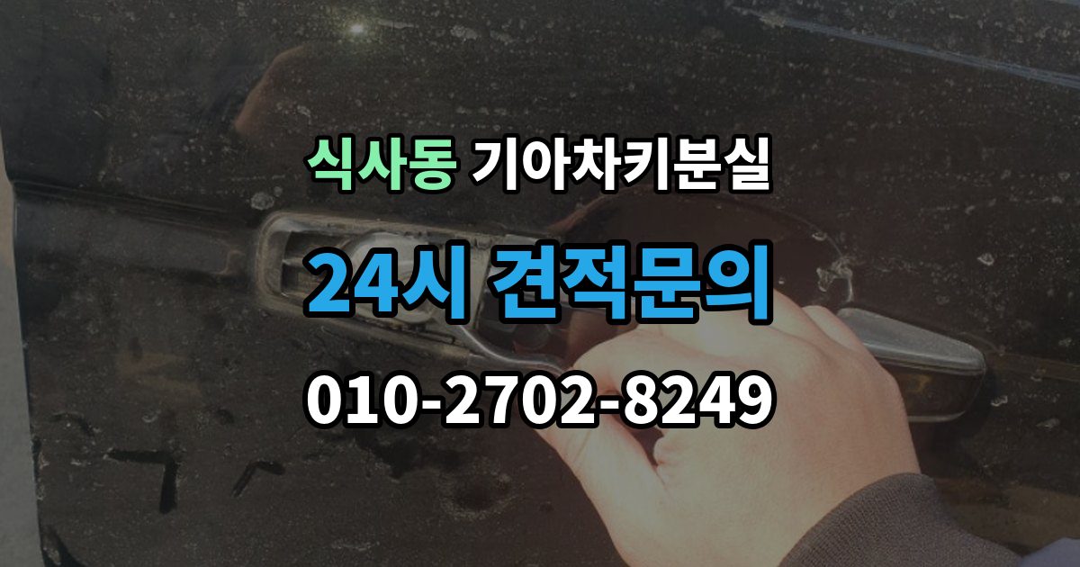 식사동 기아 차키 분실 문은 열리는데 시동이 안 걸릴 때 확인할 점