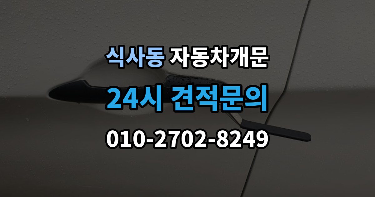 식사동 차 문 잠겼을 때 출장 안내 - 아이나 반려동물이 안에 있을 때 우선순위