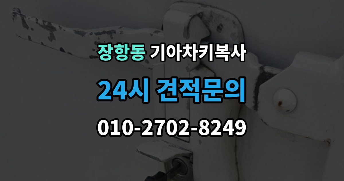 장항동 기아 차키 복사 열쇠 모양이 같아도 작동이 다른 사례들