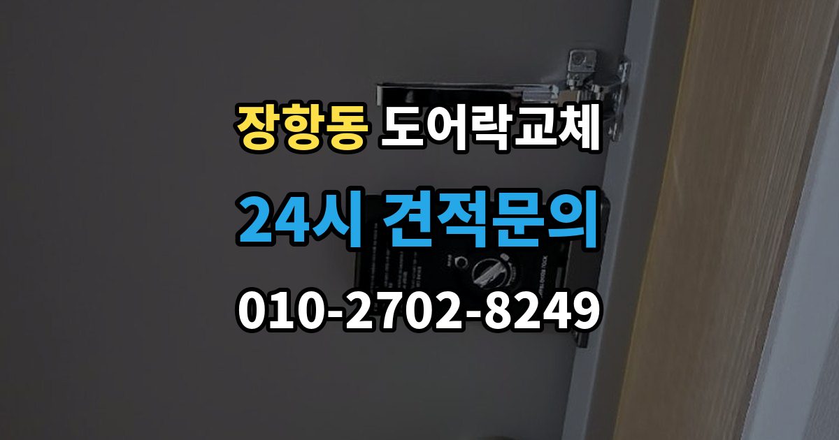 장항동 현관문 도어락 교체