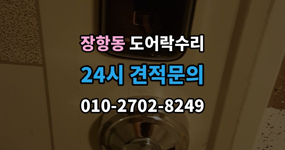 장항동 도어락 수리 잠금이 유지되지 않을 때 나타나는 대표 증상