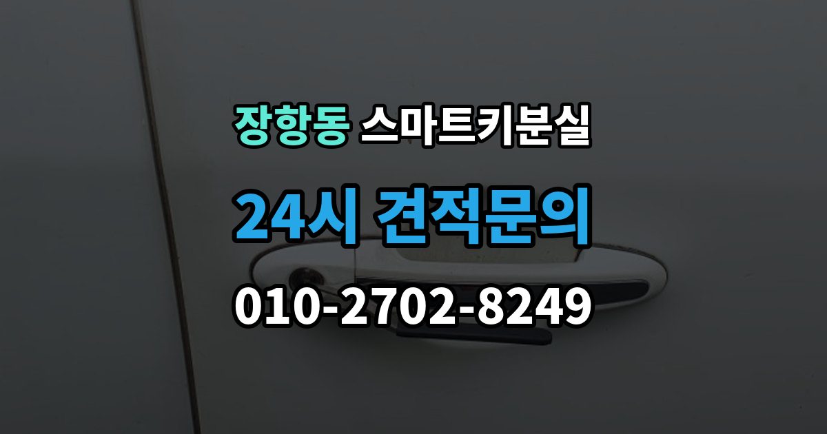 장항동 스마트키 분실 문이 잠겼을 때 안전하게 대처하는 법