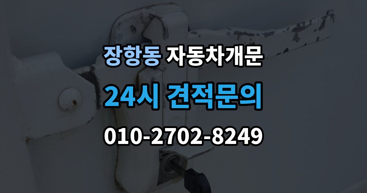 장항동 차 문 잠겼을 때 출장 안내 - 잠금 해제 후 재발생 방지하는 습관