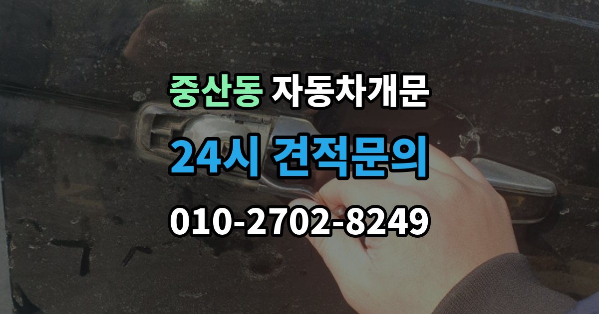 고양시 일산동구 중산동 차 문 잠겼을 때 시동 걸린 채 잠겼을 때 확인할 점