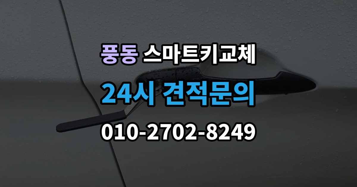 고양시 일산동구 풍동 스마트키 교체 출장 안내 - 예비키 없이 외출했다면 확인할 이동 경로
