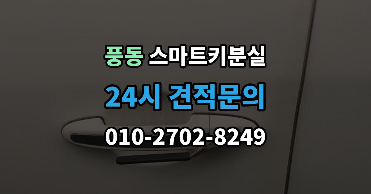 고양시 일산동구 풍동 스마트키 분실 새 키 제작 전 등록 정보 점검이 중요한 이유