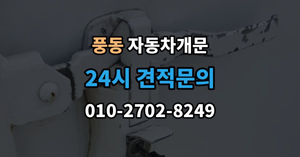 고양시 일산동구 풍동 자동차 문 잠김 출장 안내 - 문 열림 후 재잠김을 막는 점검 포인트