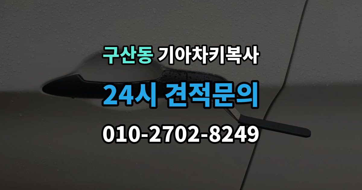 고양시 일산서구 구산동 기아 차키 복사 차문만 열리는 키와 시동키 구분하는 법
