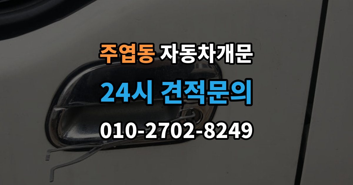 주엽동 자동차 문 잠김 출장 안내 - 스마트키 인식 불량으로 인한 잠김 사례
