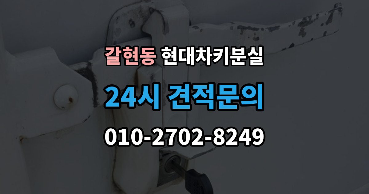 과천시 갈현동 현대 차키 분실 키 한 개만 남았을 때 예방해야 할 일