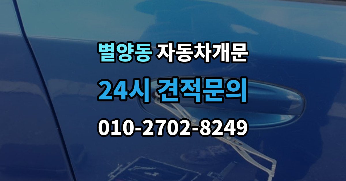 별양동 자동차 문 잠김 리모컨 오작동과 실제 잠김 구분하기