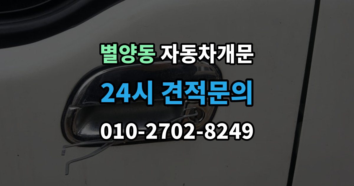 별양동 차 문 잠겼을 때 고속도로 휴게소에서 잠겼을 때 대응