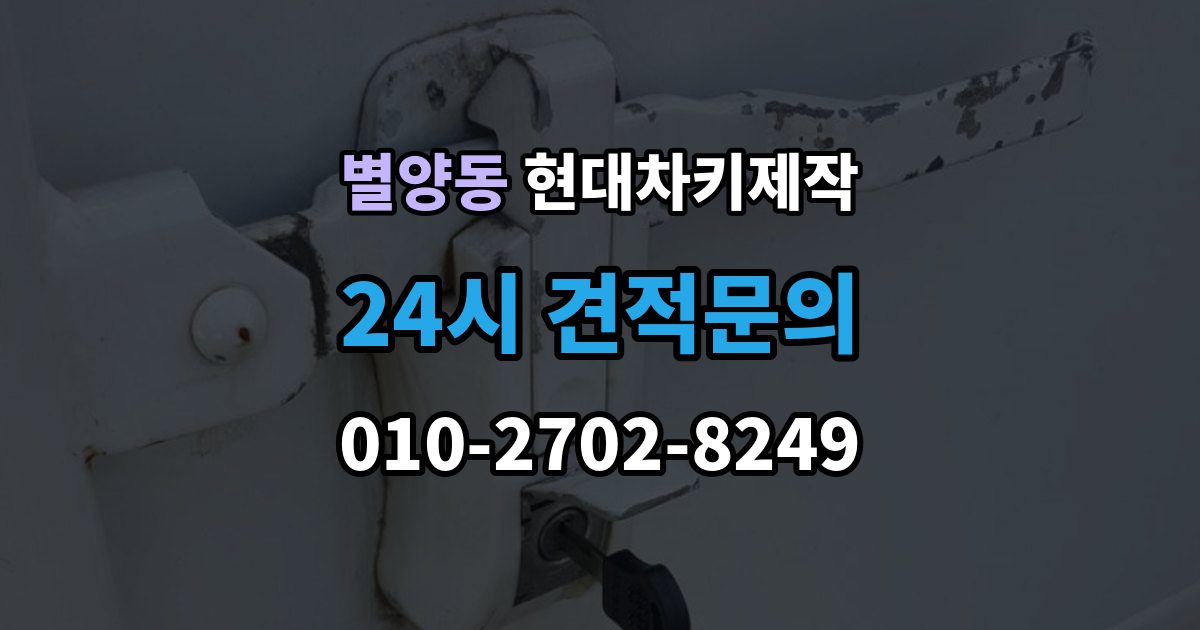별양동 현대 차키 제작 출장 안내 - 완료 후 문잠금 버튼이 안 될 때 점검