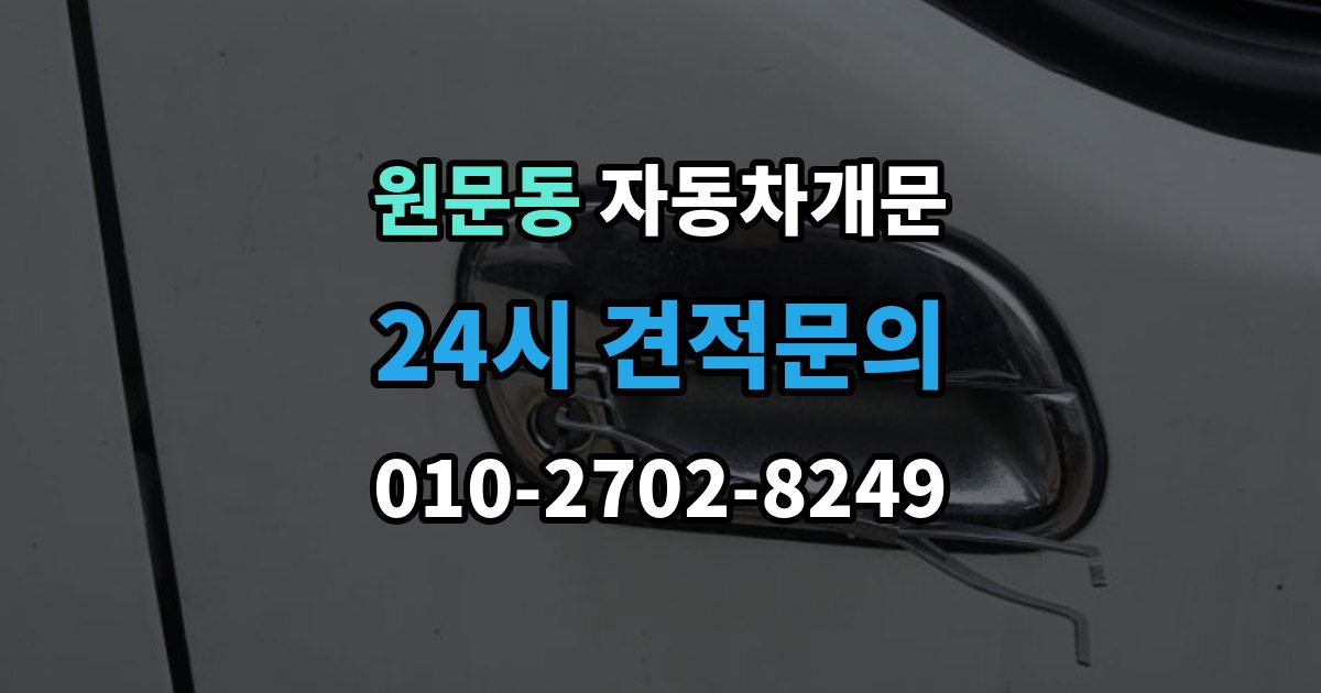 원문동 차 문 잠겼을 때 문은 열려도 시동이 안 걸릴 때 구분법