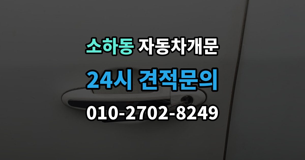 소하동 차 문 잠겼을 때 보험사 긴급출동과 전문업체 비교