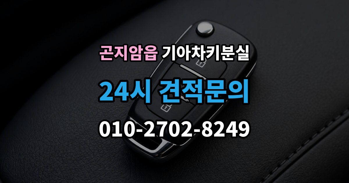 곤지암읍 기아 차키 분실 스마트키 앱 연동 상태 확인이 필요한 경우
