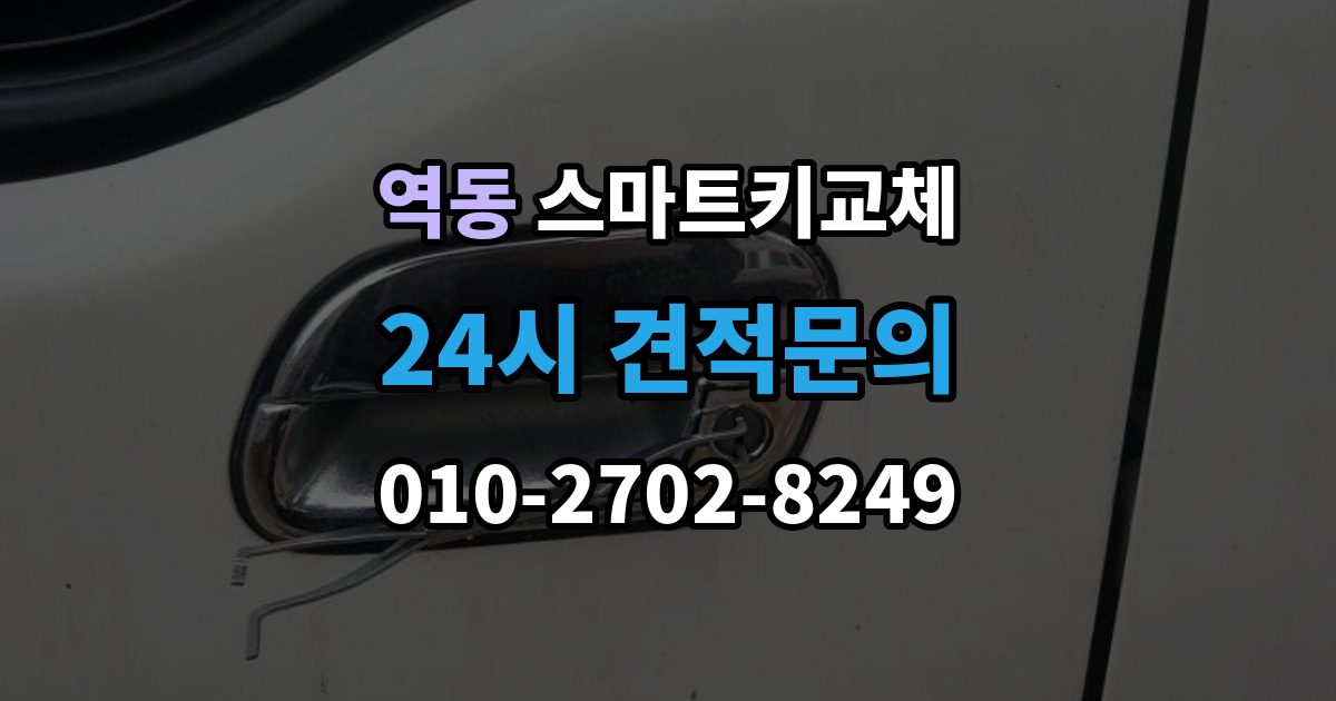 역동 스마트키 교체 예비키 없이 외출했다면 확인할 이동 경로
