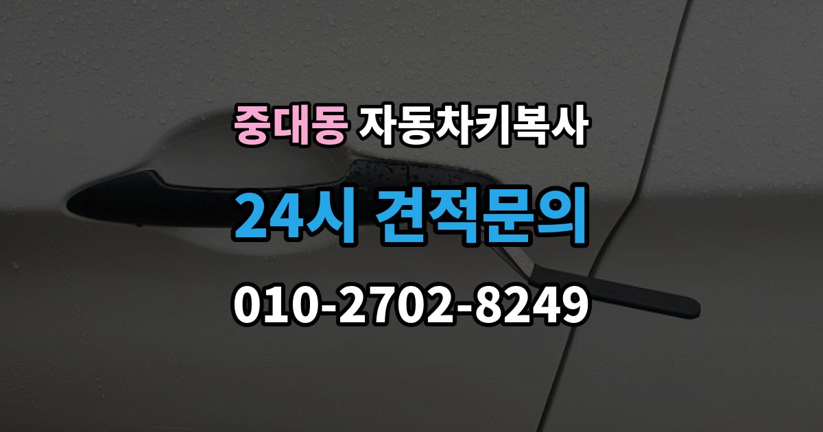 광주시 중대동 자동차키 복사 출장 안내 - 수동키로 문을 열 때 기본 사용법