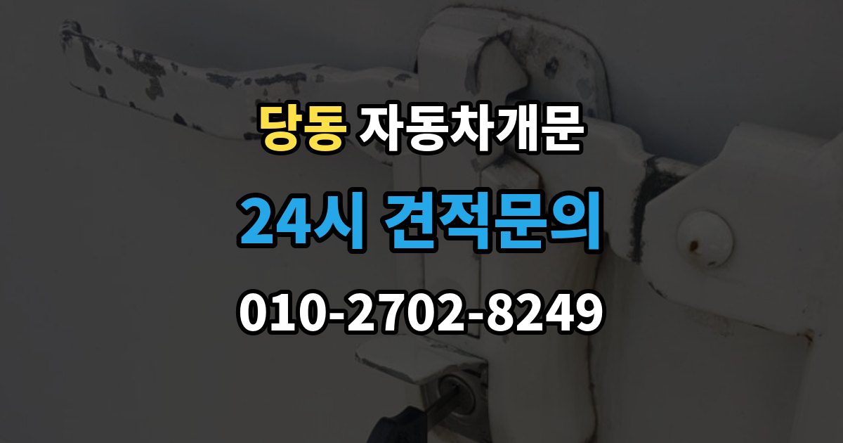 군포시 당동 자동차 문 잠김 잠금 상태를 스스로 점검하는 방법