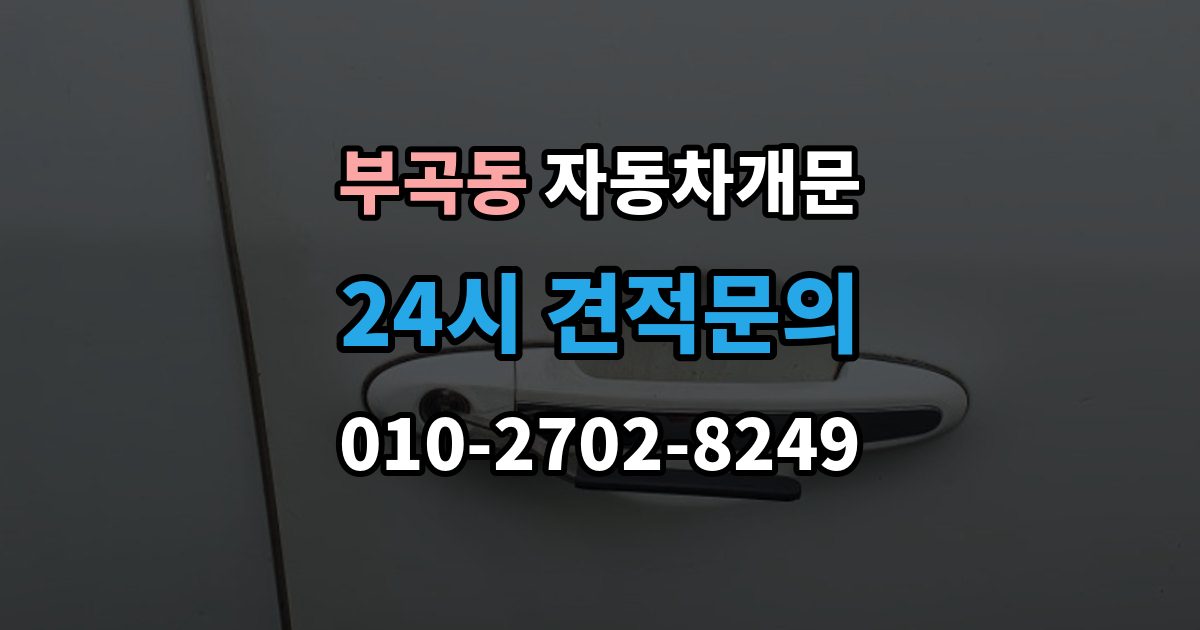 군포시 부곡동 자동차 문 잠김 리모컨 오작동과 실제 잠김 구분하기