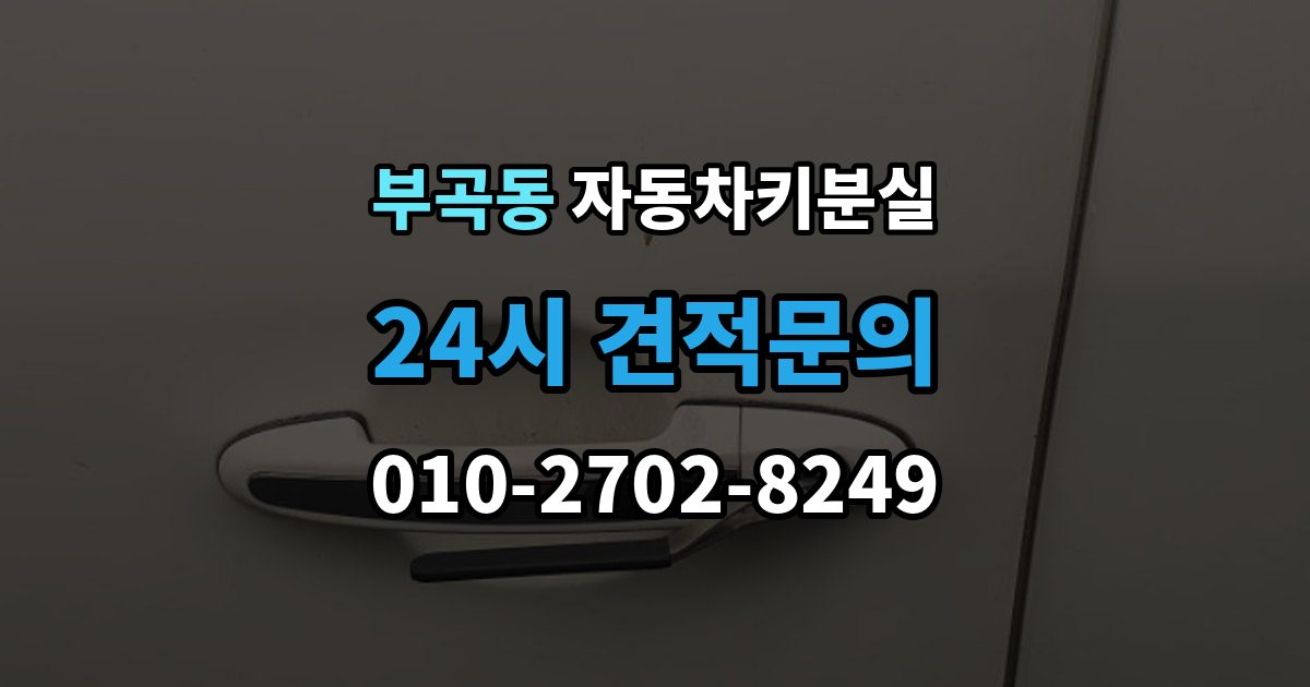 군포시 부곡동 자동차키 분실 문만 열리고 운행이 안 될 때 살펴볼 부분