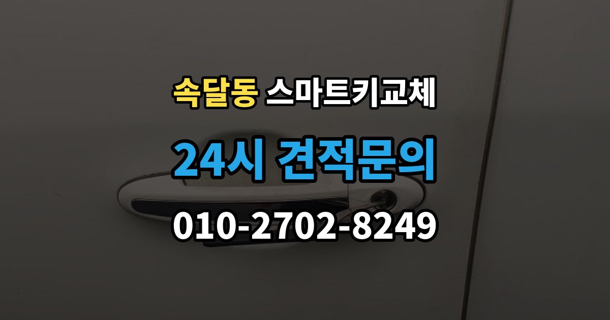 속달동 스마트키 교체 초기화가 필요한 경우와 점검 순서
