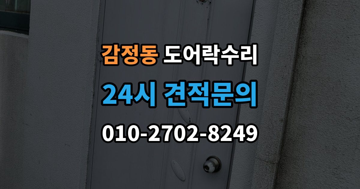 감정동 도어락 수리 출장 안내 - 비상 상황을 대비한 기능 점검 기준