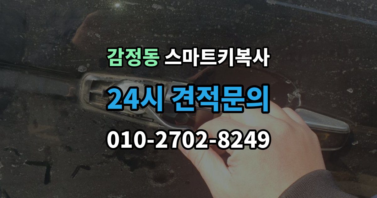 감정동 스마트키 복사 출장 안내 - 키를 안전하게 두는 위치와 요령