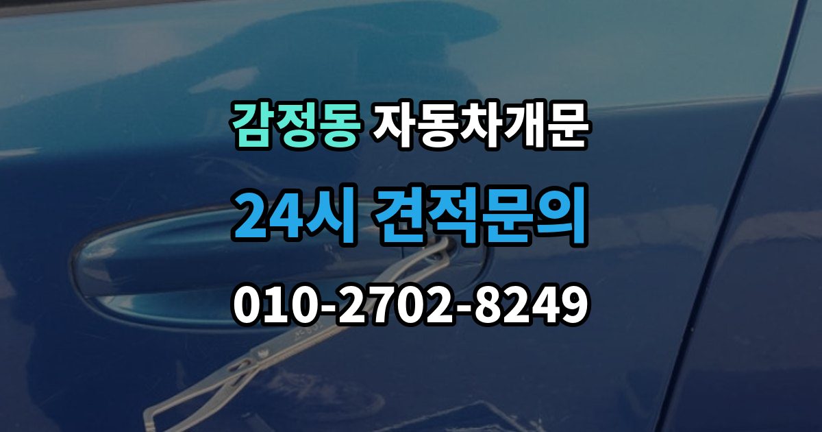 감정동 차 문 잠겼을 때 한밤중에 잠겼을 때 부를 수 있는 곳