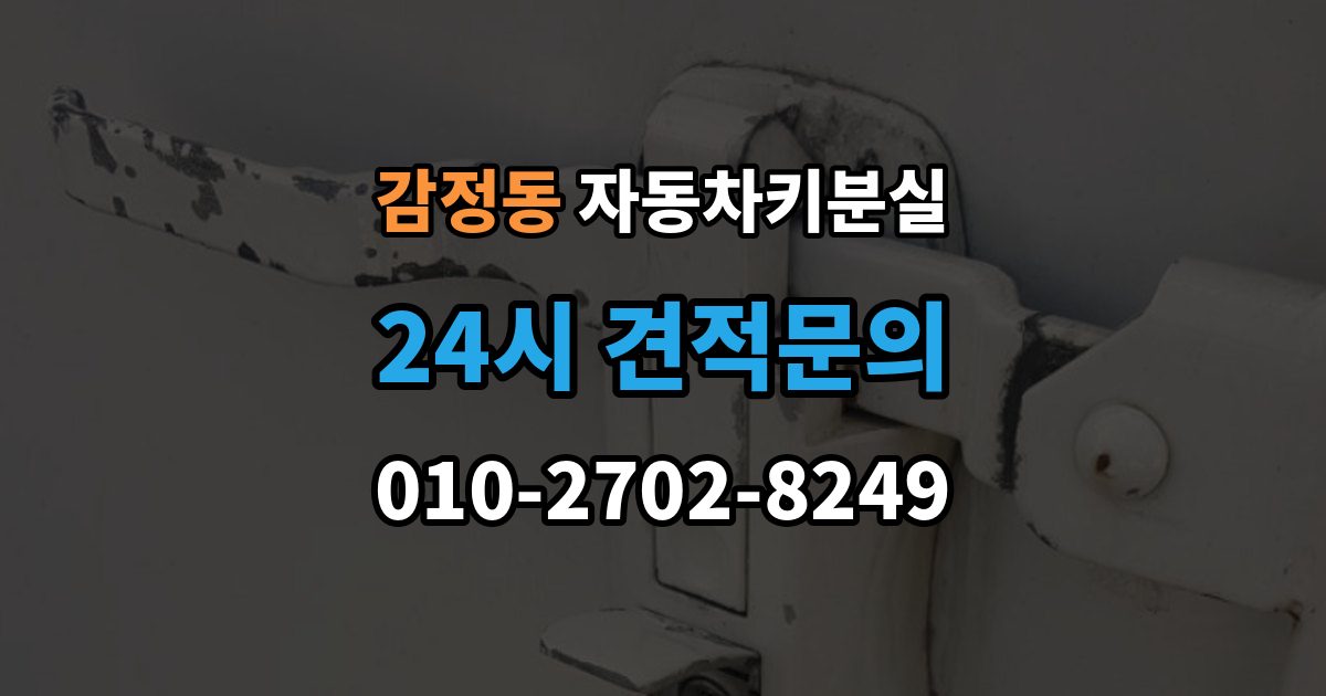 감정동 차 키 잃어버렸을 때 분실 신고와 열쇠 재발급 중 먼저 할 일