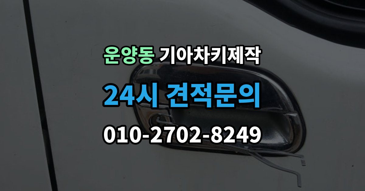 운양동 기아 차키 제작 이모빌라이저 등록이 막히는 이유