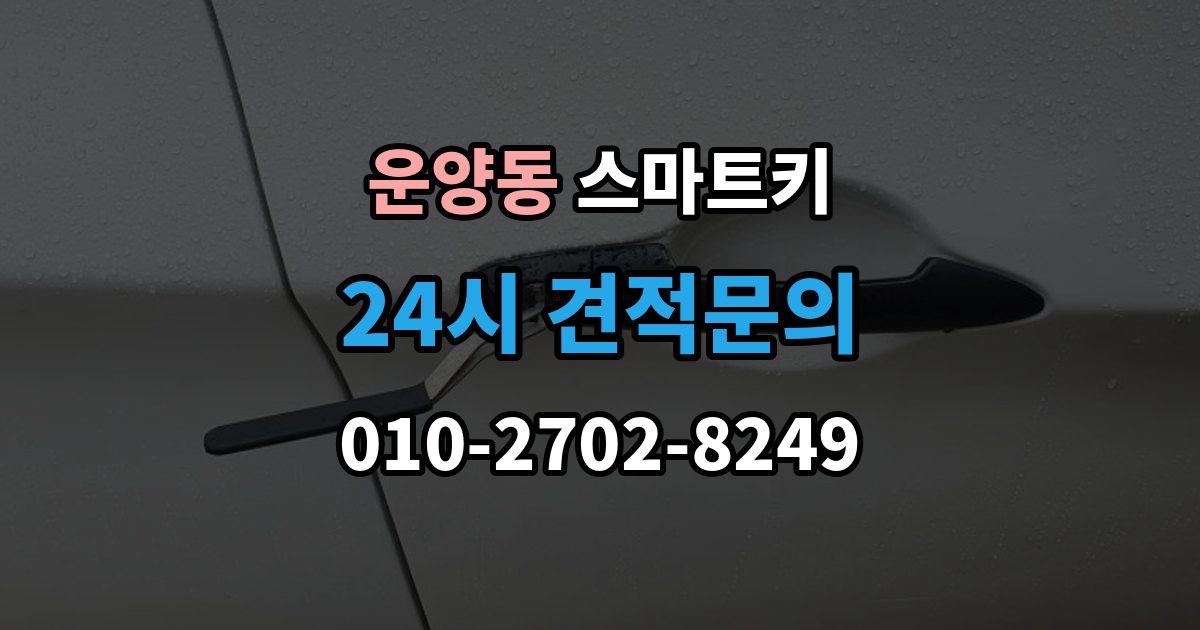 운양동 스마트키 케이스 손상과 내부 칩 상태를 함께 보는 법