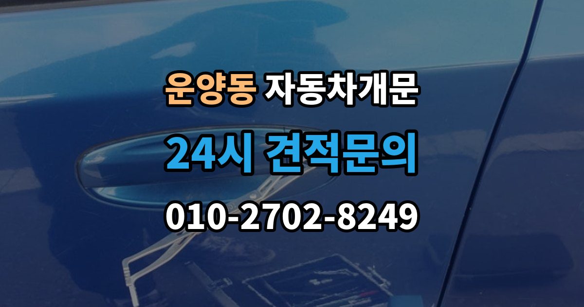 운양동 자동차 문 잠김 겨울철 결빙으로 인한 잠김과 구분하는 법