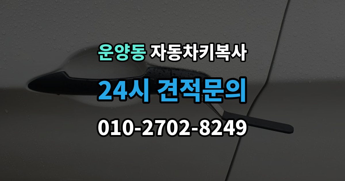 운양동 자동차키 복사 복제 전 차량 사진을 준비하는 이유