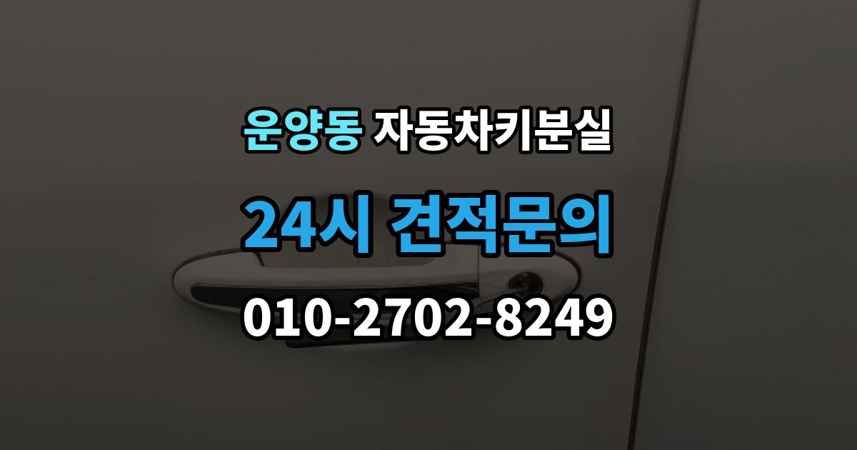 운양동 자동차키 분실 출장 안내 - 현장 출동을 부를 때 확인사항