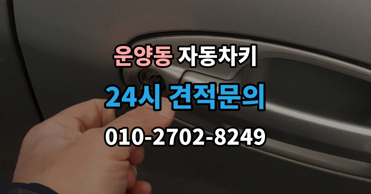 운양동 자동차키 출장 안내 - 중고차 인수 뒤 키 개수 확인 포인트