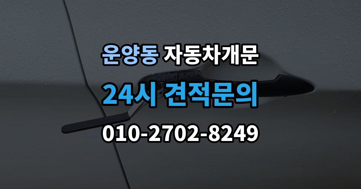운양동 차 문 잠겼을 때 시동 걸린 채 잠겼을 때 확인할 점
