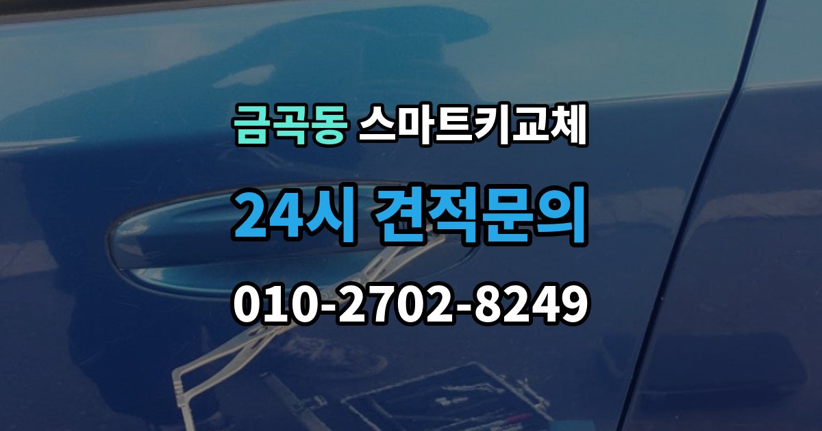 남양주시 금곡동 스마트키 교체 출장 안내 - 차량 문이 잠긴 채 보일 때 상담 전 확인할 점