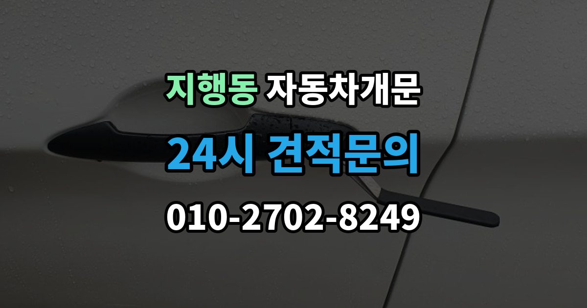 지행동 자동차 문 잠김 스마트키 인식 불량으로 인한 잠김 사례